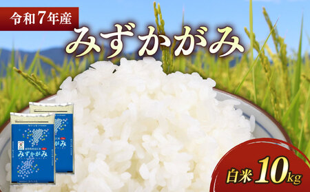 【白米】令和7年 彦根産 米 みずかがみ 10kg（5kg×2袋）