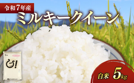 【白米】令和7年 彦根産 米 ミルキークィーン 5kg