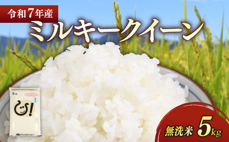 【無洗米】令和7年 彦根産 米 ミルキークイーン 5kg
