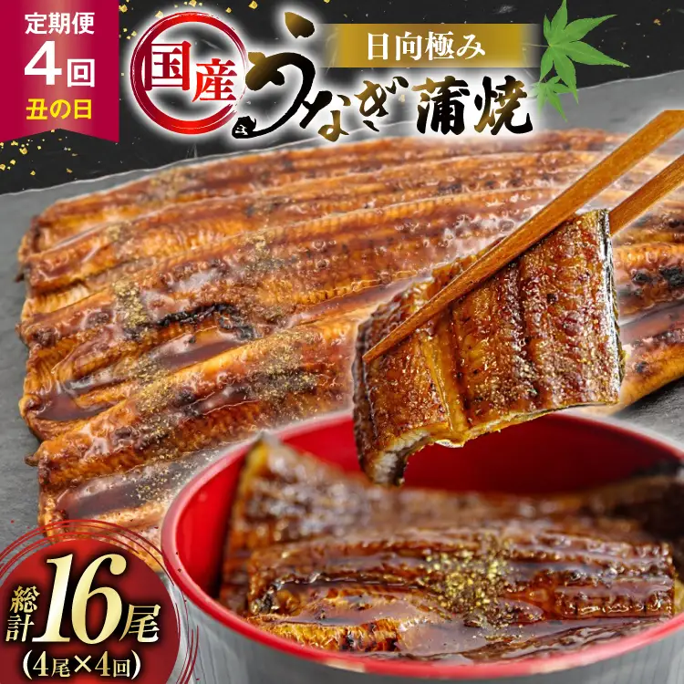 うなぎ 国産 日向うなぎ 蒲焼 中 4尾 計500g以上 4回 丑の日 定期便