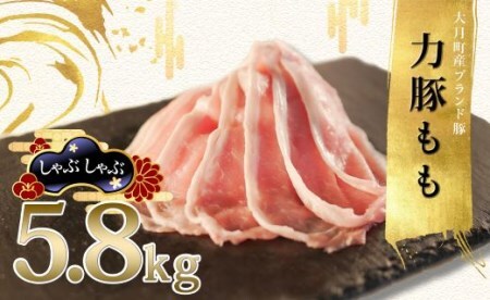 【国産】力豚 豚肉 もも しゃぶしゃぶ5.8kg 小分け ブランド豚 冷しゃぶサラダ 豚しゃぶ 鍋