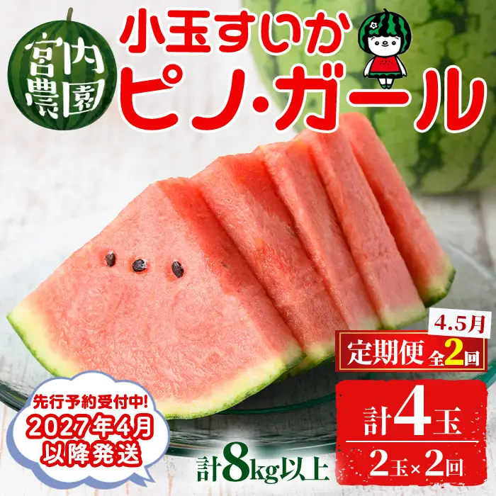 【0325001b】《2027年4月以降発送》＜定期便・全2回＞小玉すいか・ピノ・ガール(2玉×2回・計8kg以上 果物 くだもの 旬 果実 フルーツ スイカ すいか 西瓜 ピノガール 小玉スイカ 数量限定 期間限定 定期便 4月 5月 【宮内農園】