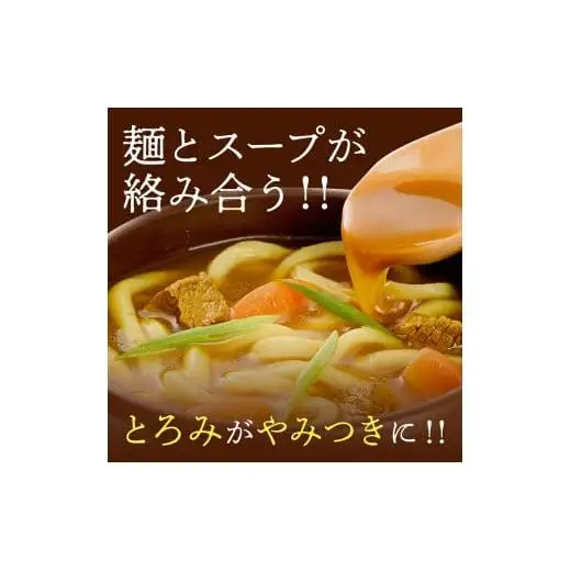 讃岐カレーうどんセット（24人前）_Z2600131