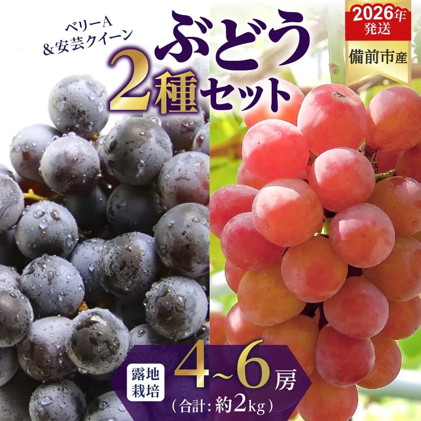 【2026年発送分　先行受付開始！】びぜん葡萄「ベリーA」「安芸クイーン」2種セット（露地栽培）約2kg（令和8年9月上旬～9月中旬頃発送）【葡萄 ベリーＡ 安芸クイーン】
