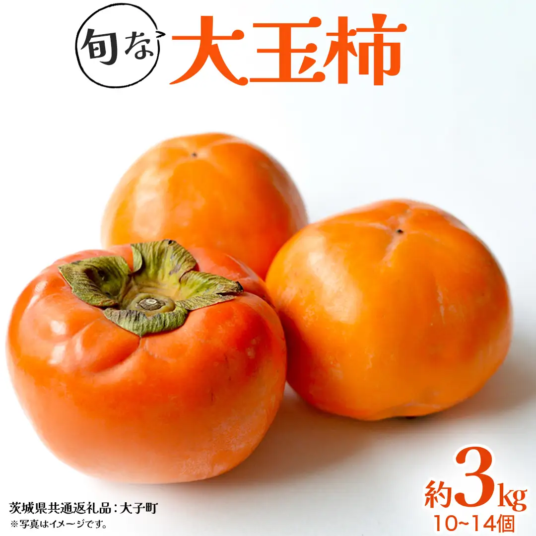 旬な大玉 柿 約3kg 10～14個 【2026年10月上旬発送開始】(茨城県共通返礼品：大子町) 柿 かき カキ 果物 フルーツ 旬 季節限定 期間限定