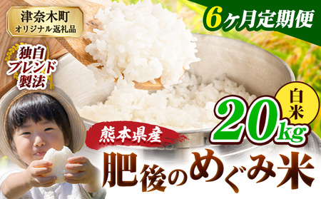 【6ヶ月定期便】熊本県産 白米 ブレンド米 肥後のめぐみ米 20kg 熊本県産 ふるさと納税 精米 米 こめ ふるさとのうぜい コメ お米 おこめ《お申込み翌月から出荷》
