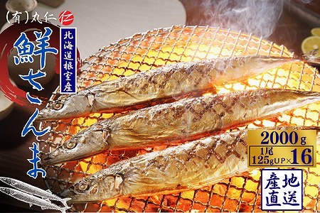 【北海道根室産】鮮さんま16尾入(計2kg) A-50020