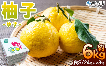 ＜柚子 良 Sサイズ (24個入り) × 3箱＞ 約6kg ゆず ユズ 国産 柑橘 かんきつ 低樹高栽培 おいしい 産地直送 黄柚子 薬味 柚子胡椒 国産柚子 フルーツ JAひがしうわ 東宇和農業協同組合 愛媛県 西予市【常温】『2025年10月下旬～12月上旬迄に順次出荷予定』UHU0006