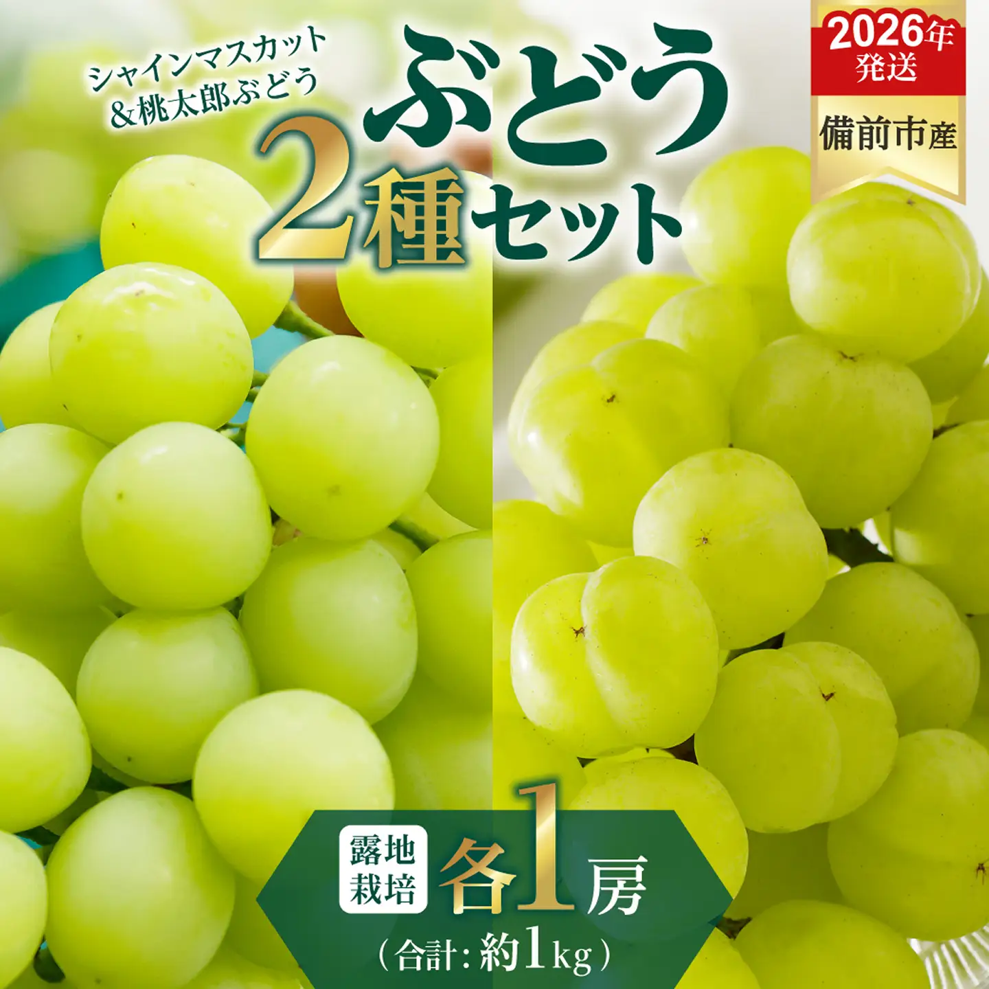 【2026年発送分　先行受付開始！】びぜん葡萄「シャインマスカット」「桃太郎ぶどう」（露地栽培）各1房入（令和8年8月下旬～10月中旬頃発送）【葡萄 シャインマスカット 桃太郎ぶどう】