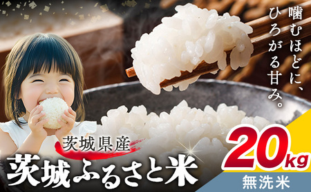 無洗米20kg《7-14日以内に出荷予定(土日祝除く)》おこめ