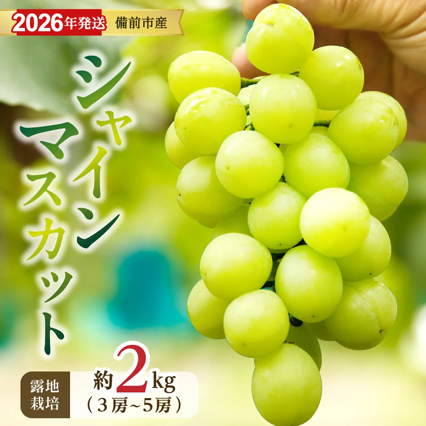 【2026年発送分　先行受付開始！】びぜん葡萄「シャインマスカット」（露地栽培）約2kg入（令和8年9月上旬～10月中旬頃発送）【葡萄 シャインマスカット】