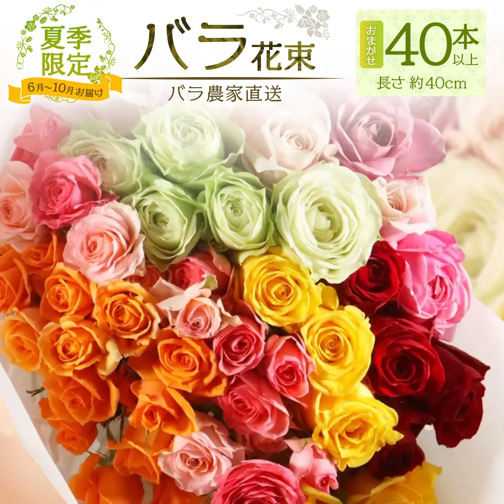 【日付指定必須・ギフト対応可】 夏季限定 ばら農家直送！バラ花束40本以上お届け(色はおまかせ) TB-8│ローズ 新鮮 花 フラワー 花束 ばら 薔薇 バラ 誕生日 記念日 結婚祝い ギフト プレゼント お祝い 贈り物 贈答 鹿児島県 南大隅町 富田バラ園