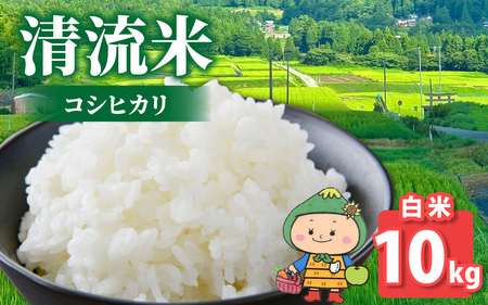 【令和7年産 新米】【福井県大野市】さかだに棚田清流米！(コシヒカリ)10kg「今話題の、あのバンドのロケ地！」
