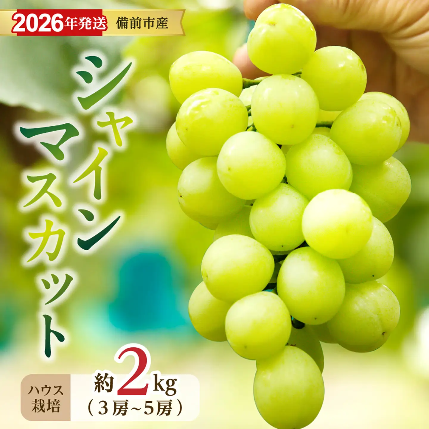 【2026年発送分　先行受付開始！】びぜん葡萄「シャインマスカット」（ハウス栽培）約2kg入（令和8年8月中旬～9月中旬頃発送）【葡萄 シャインマスカット】