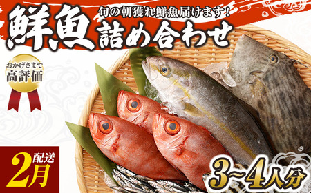 旬の朝獲れ鮮魚詰め合わせ 【2027年2月配送※着日指定不可】【以布利定置網　漁師直送】朝獲れ 旬 鮮魚 魚介 海鮮 魚 さかな せんぎょ 鮮魚セット 詰め合わせ おまかせ お任せ【S00818-2】