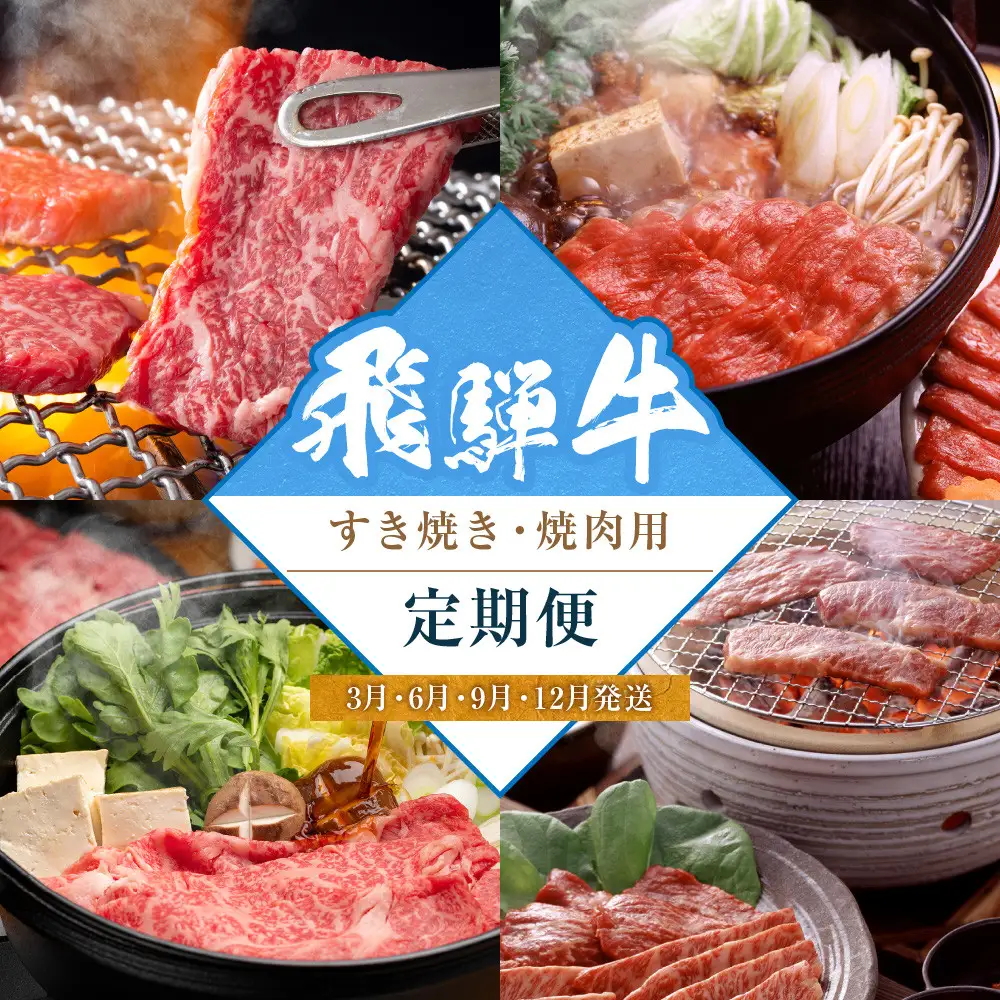 飛騨牛食べ比べセット（すき焼き・焼肉用）定期便【3月・6月・9月・12月発送】 | 定期便 LZ102