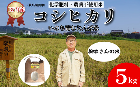 米 コシヒカリ 5kg 天皇献上米 (栽培期間中）化学肥料・農薬不使用米 令和7年産 
