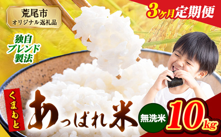 【3ヶ月定期便】 熊本県産 くまもとあっぱれ米 10kg  熊本県産 ふるさと納税  無洗米 精米 米 こめ ふるさとのうぜい コメ お米 おこめ《お申込み翌月から出荷》