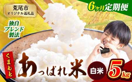 【6ヶ月定期便】 熊本県産 くまもとあっぱれ米 5kg  熊本県産 ふるさと納税  白米 精米 米 こめ ふるさとのうぜい コメ お米 おこめ《お申込み翌月から出荷》