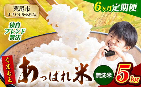 【6ヶ月定期便】 熊本県産 くまもとあっぱれ米 5kg  熊本県産 ふるさと納税  無洗米 精米 米 こめ ふるさとのうぜい コメ お米 おこめ《お申込み翌月から出荷》