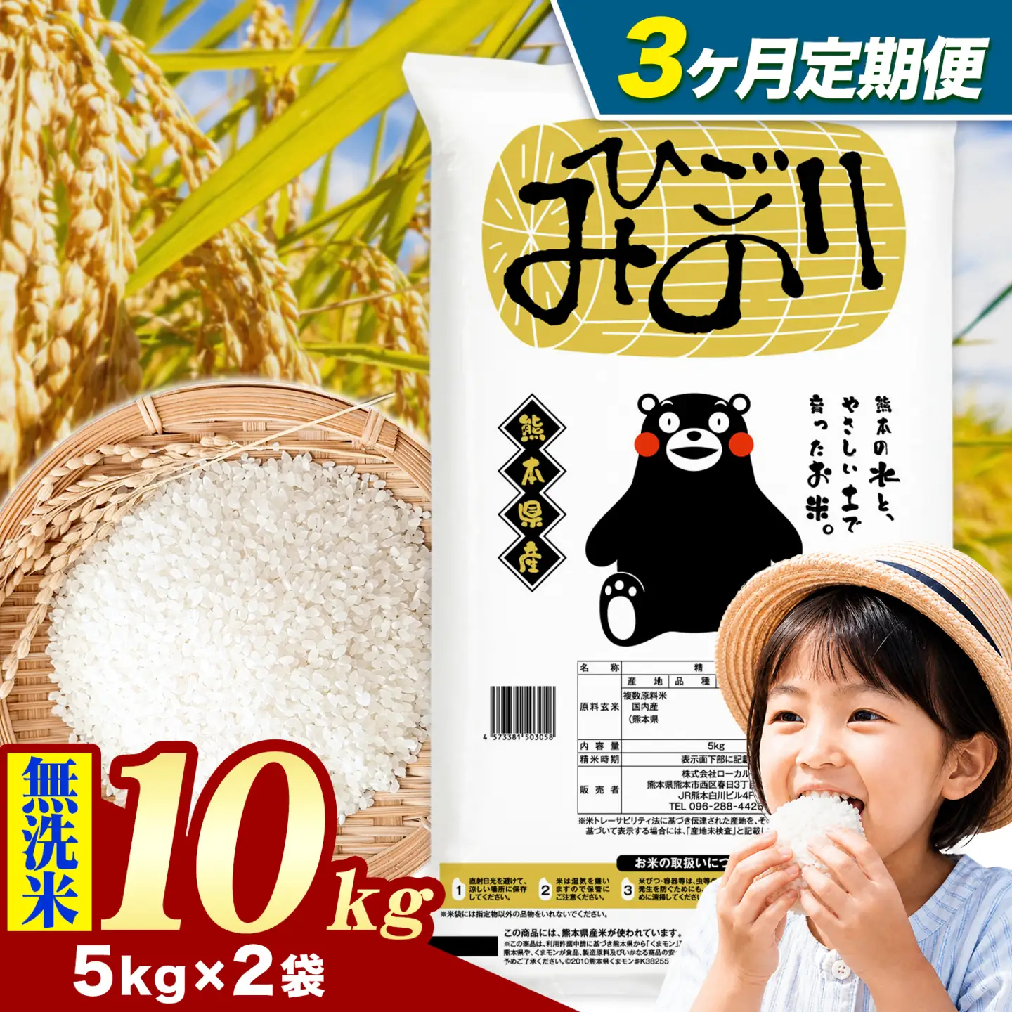 【3ヶ月定期便】ひごみのり 無洗米 熊本県産 ブレンド米 10kg 熊本県産 ふるさと納税  精米 米 こめ ふるさとのうぜい コメ お米 おこめ《お申込み翌月から出荷》