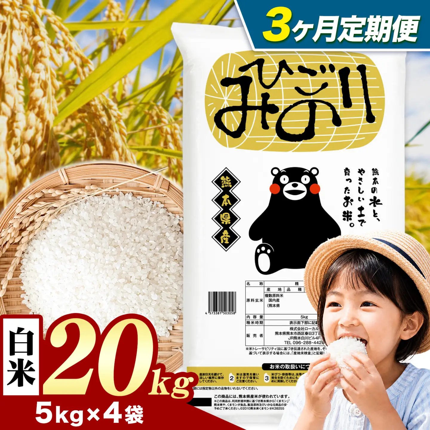 【3ヶ月定期便】ひごみのり 白米 熊本県産 ブレンド米 20kg 熊本県産 ふるさと納税  精米 米 こめ ふるさとのうぜい コメ お米 おこめ《お申込み翌月から出荷》