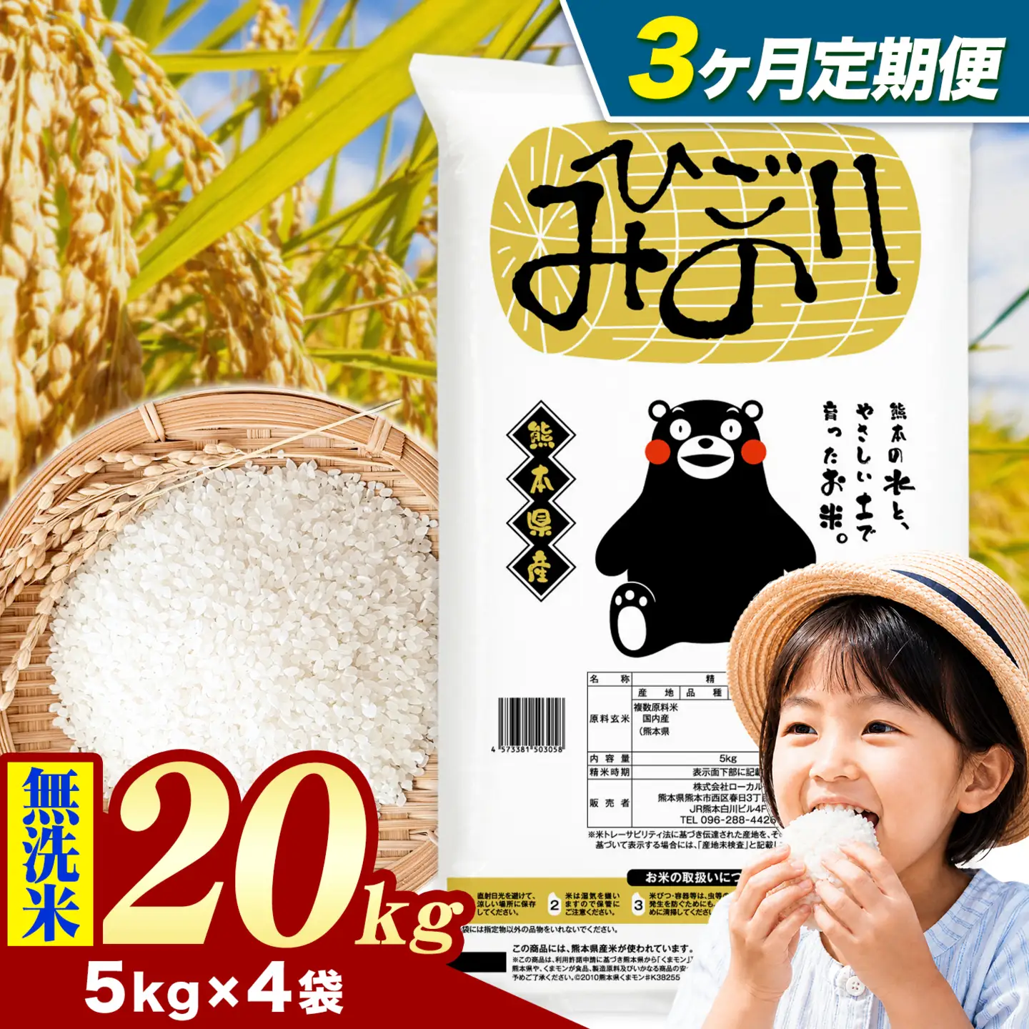 【3ヶ月定期便】ひごみのり 無洗米 熊本県産 ブレンド米 20kg 熊本県産 ふるさと納税  精米 米 こめ ふるさとのうぜい コメ お米 おこめ《お申込み翌月から出荷》