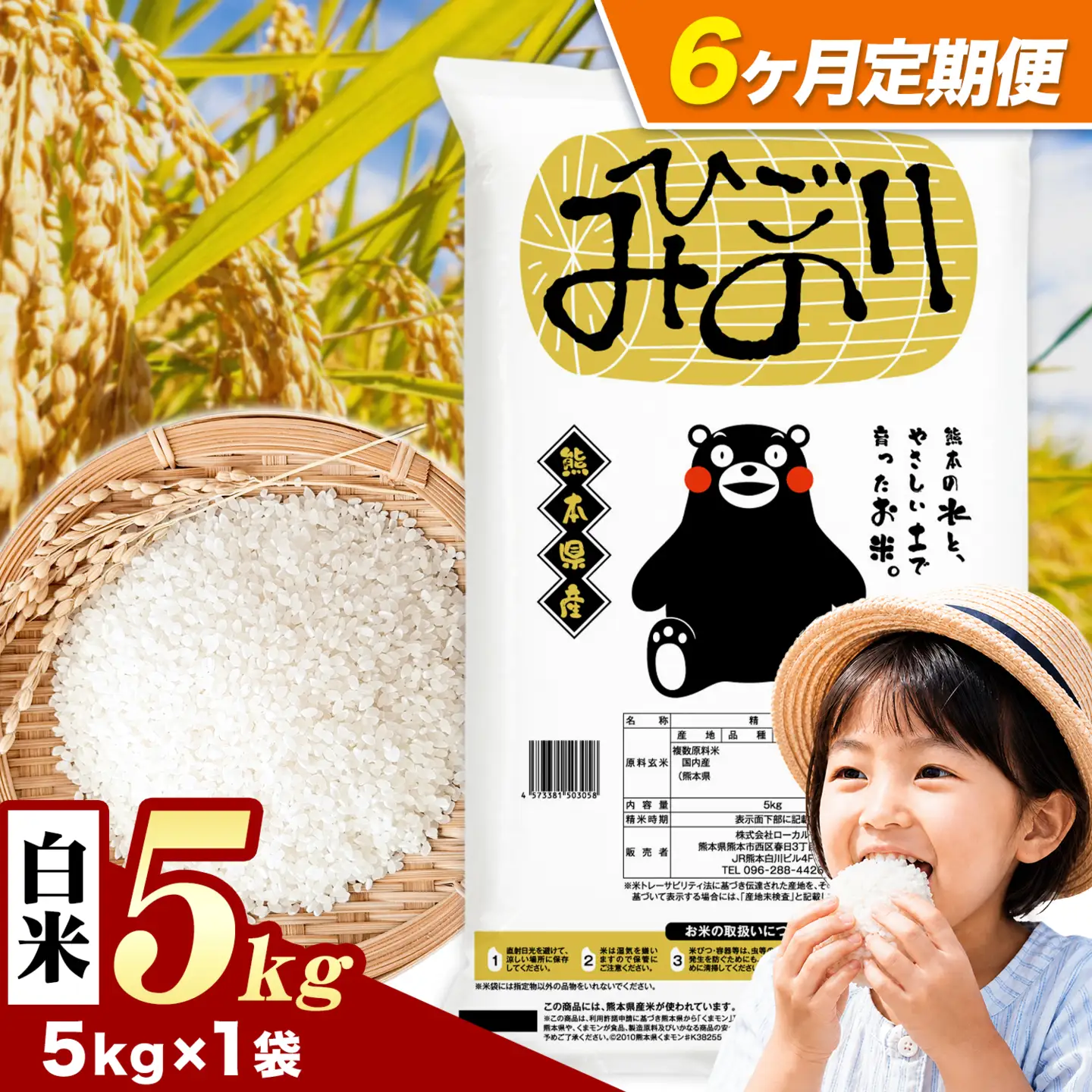 【6ヶ月定期便】ひごみのり 白米 熊本県産 ブレンド米 5kg 熊本県産 ふるさと納税  精米 米 こめ ふるさとのうぜい コメ お米 おこめ《申込み翌月から発送》