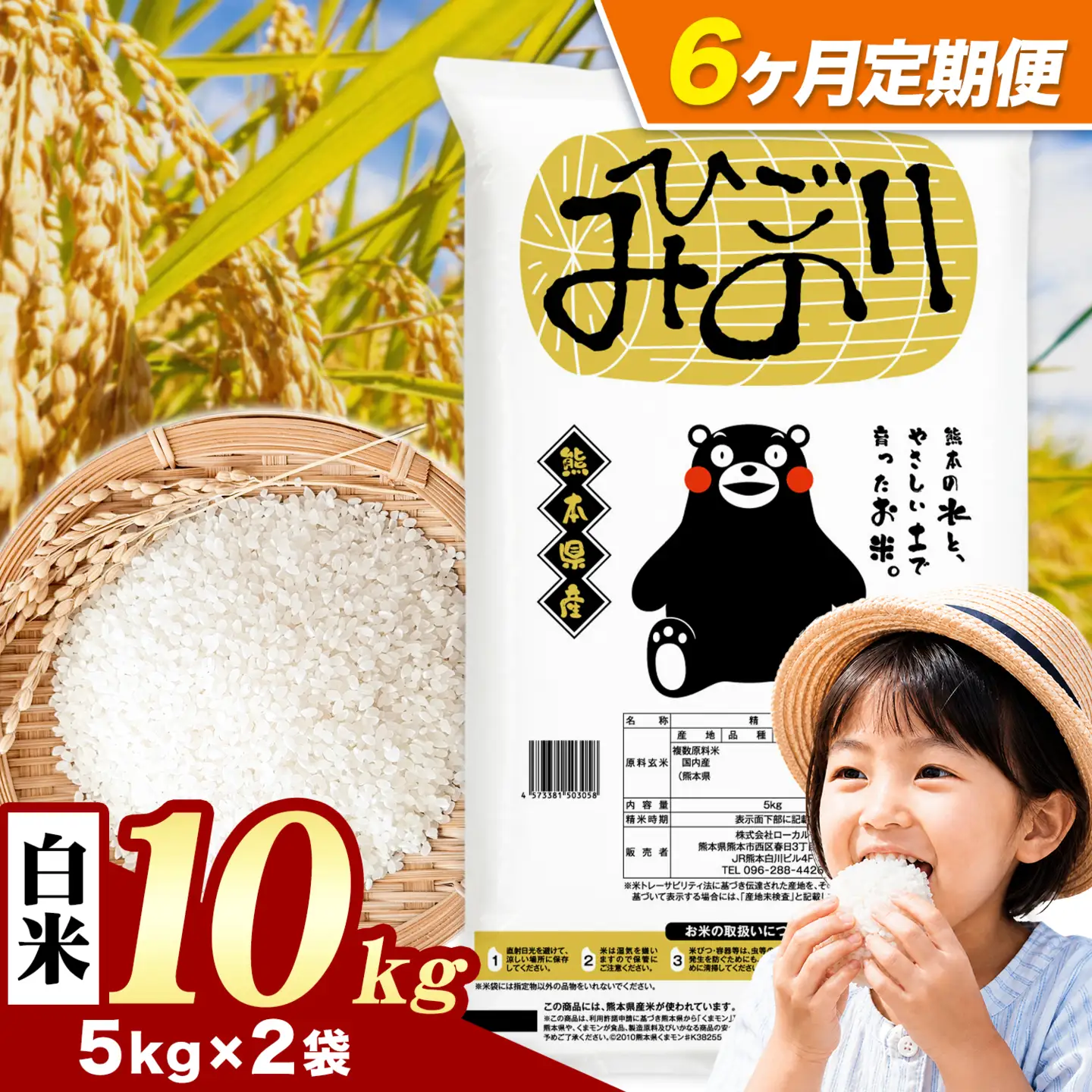 【6ヶ月定期便】ひごみのり 白米 熊本県産 ブレンド米 10kg 熊本県産 ふるさと納税  精米 米 こめ ふるさとのうぜい コメ お米 おこめ《お申込み翌月から出荷》