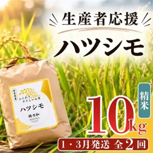 【発送月固定定期便】【先行予約】生産者応援!岐阜県産ハツシモ(精米)10kg【1・3月発送】全2回【配送不可地域：離島】【4073154】