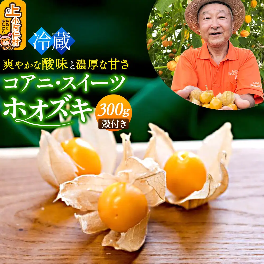 【9月下旬～10月中旬発送】《冷蔵》コアニ・スイーツホオズキ 300g（150g×2パック） 殻付き 生食用 ほおずき ゴールデンベリー スーパーフード たじゅうろう農園【先行予約】