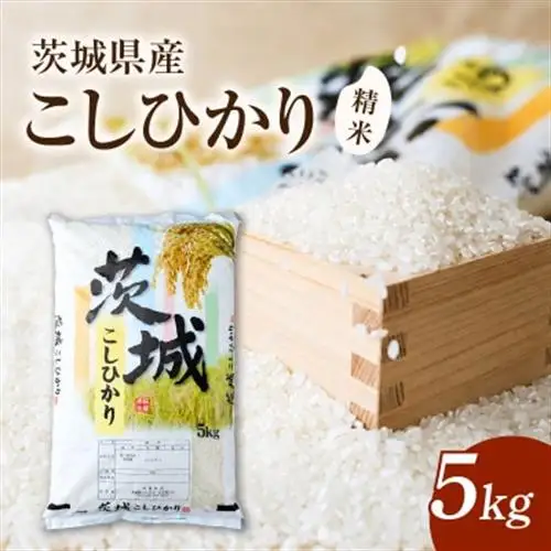 令和7年産　茨城県かすみがうら市産　精米　コシヒカリ　5kg【1662542】