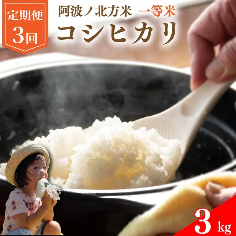 コシヒカリ 定期便 3kg 3回 お米 コシヒカリ