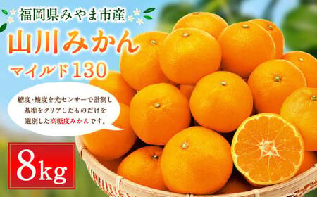 B35 山川みかん 8kg マイルド130 数量限定 柑橘 みかん ミカン 蜜柑 【2026年11月上旬～12月上旬迄順次発送予定】