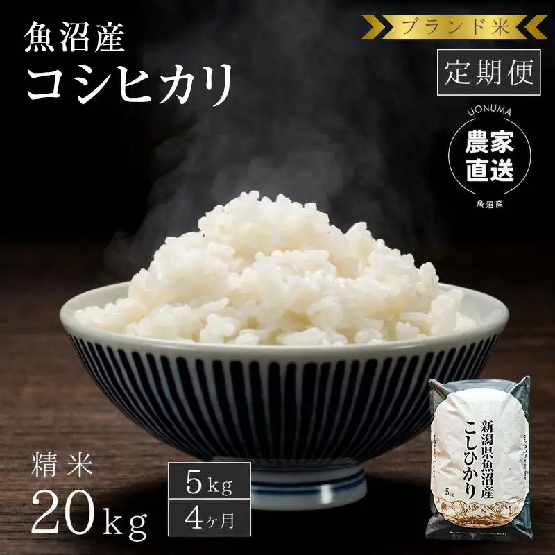 【定期便：精米5kg×4ヶ月】ブランド米    魚沼産コシヒカリ 米 こしひかり 新潟 定期
