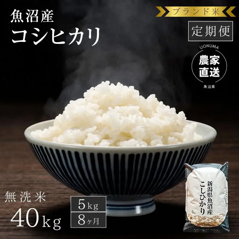 【定期便：無洗米5kg×8ヶ月】ブランド米    魚沼産コシヒカリ 米 こしひかり 新潟 定期