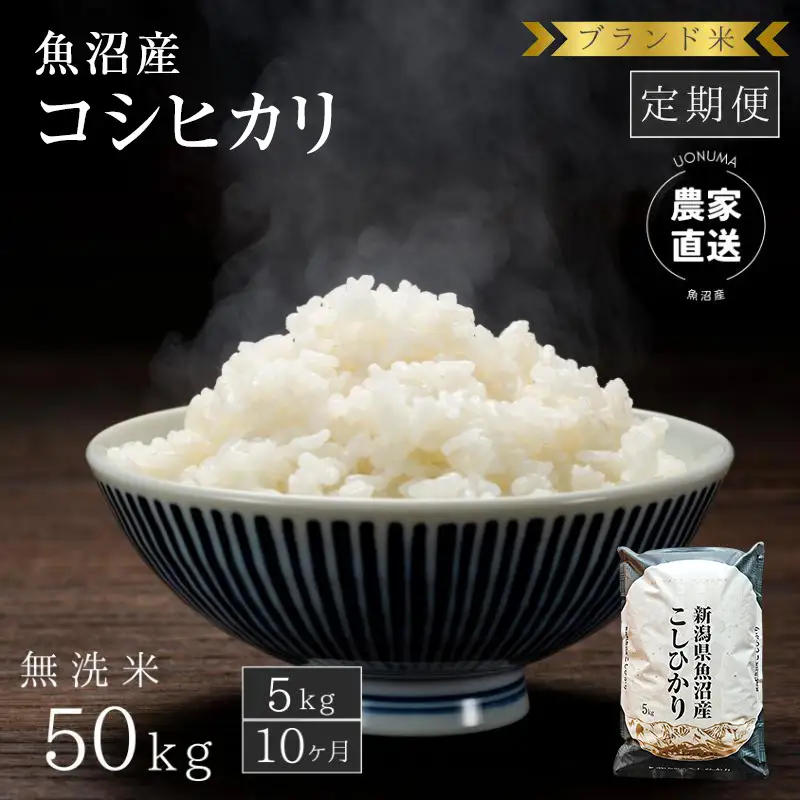 【定期便：無洗米5kg×10ヶ月】ブランド米    魚沼産コシヒカリ 米 こしひかり 新潟 定期
