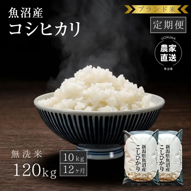 【定期便：無洗米10kg×12ヶ月】ブランド米    魚沼産コシヒカリ 米 こしひかり 新潟 定期