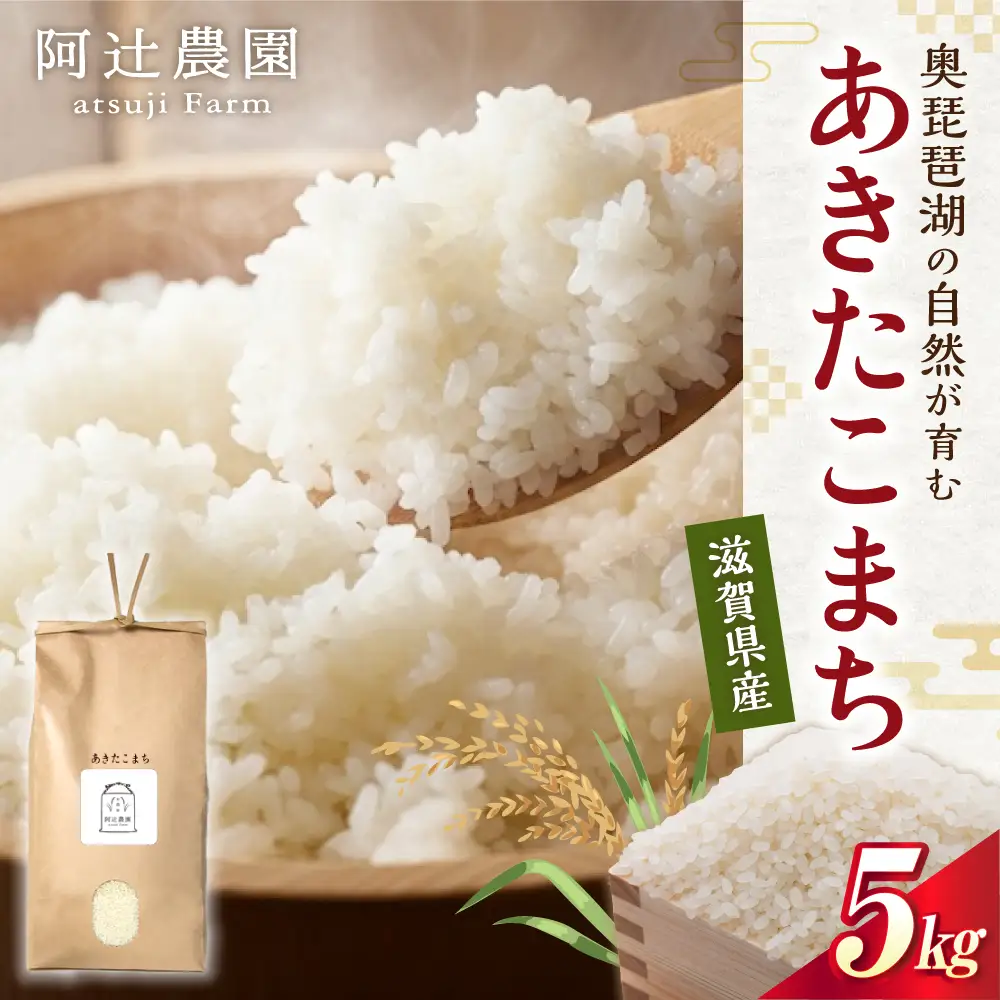 【スピード発送】米 白米 あきたこまち5kg [AQAW013] 米 5kg