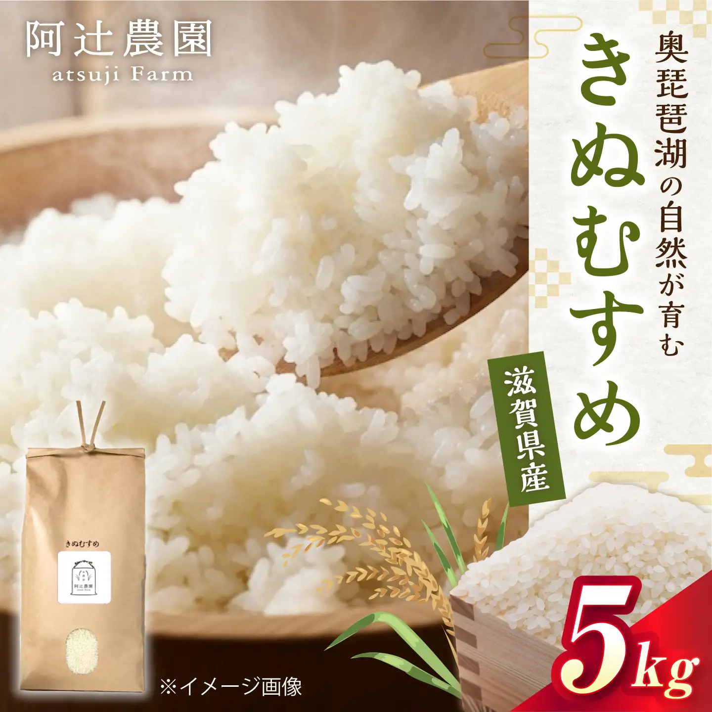 ＜先行予約＞ 白米 きぬむすめ5kg [AQAW015] 白米