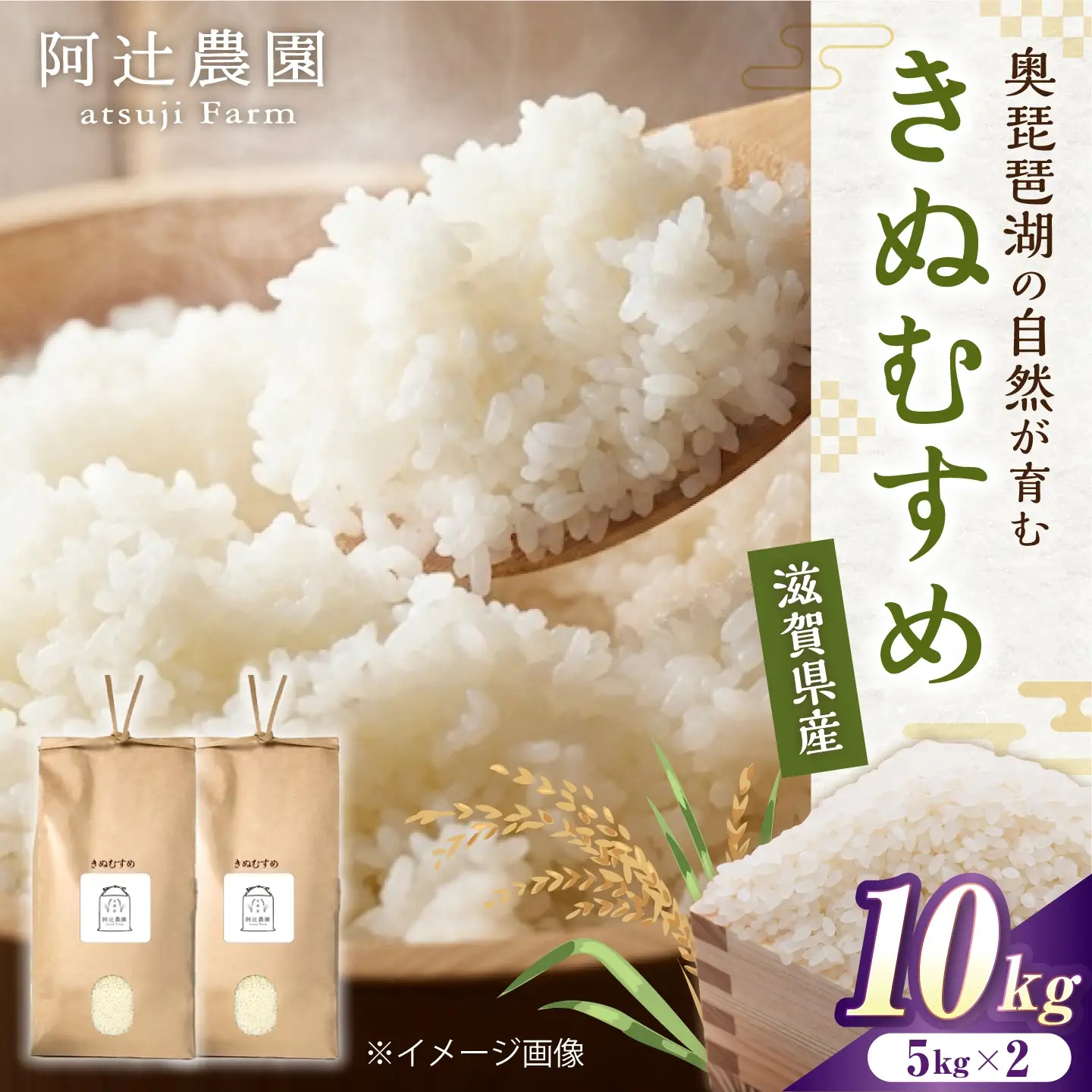【スピード発送】きぬむすめ10kg [AQAW016] 米 白米