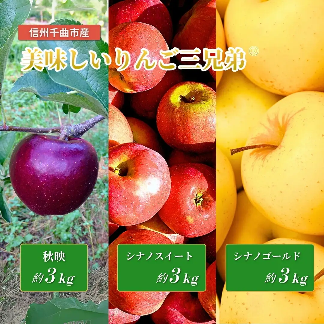 【2026年先行予約】美味しいりんご三兄弟R（秋映、シナノスイート、シナノゴールド）食べ比べ｜りんご