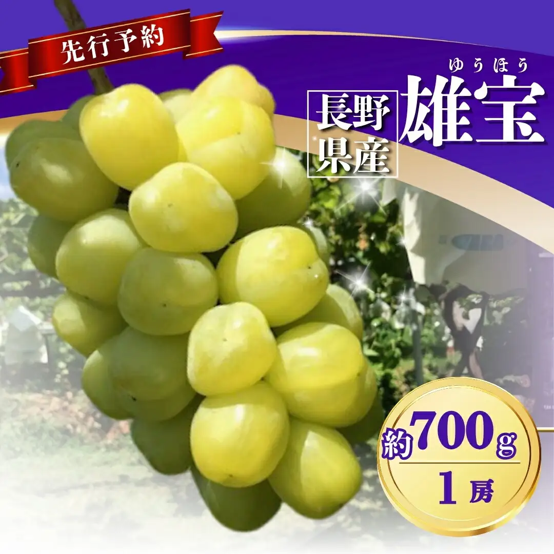 雄宝 (ゆうほう) 700g以上 (1房)  |  雄宝 