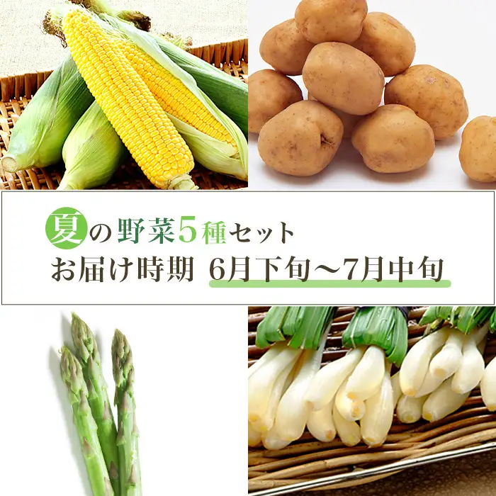 658 茨城町 夏の野菜セット とうもろこし じゃがいも エシャロット 小松菜 アスパラガス