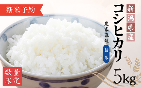 【先行予約・令和8年10月以降発送予定】新米 新潟産コシヒカリ 5kg 令和8年産 こしひかり 直播栽培 | 農家直送 新潟県 出雲崎町