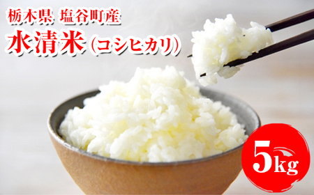 水清米（コシヒカリ）5kg｜こしひかり 米 新米 精米 こめ コメ 名水百選 国産 産地直送 期間限定 栃木県 塩谷町 ※2025年10月上旬頃より順次発送予定