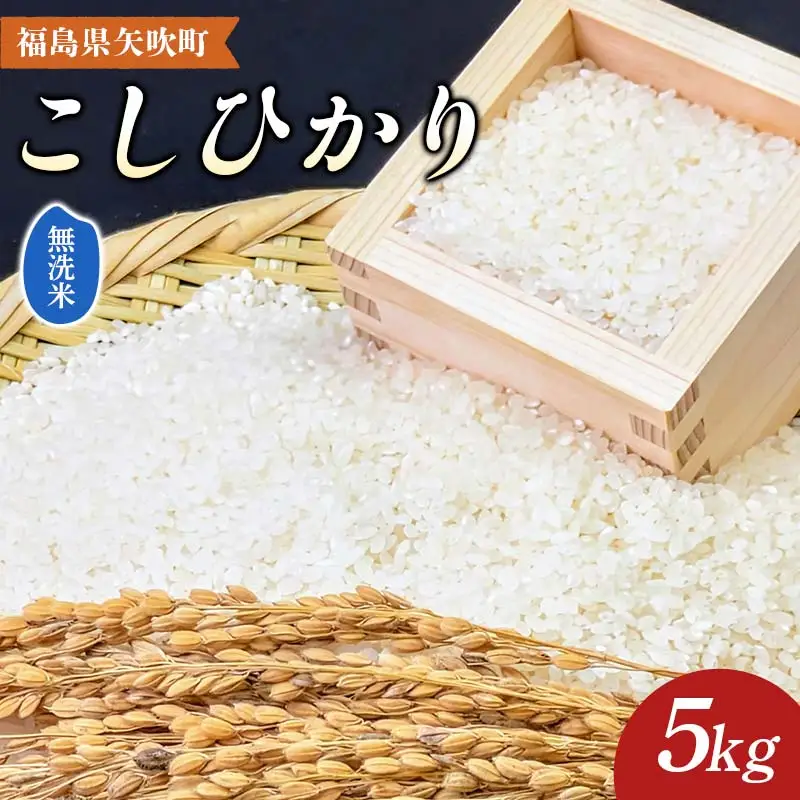 令和8年産〈無洗米〉 福島県矢吹町の美味しいこしひかり 5kg コシヒカリ コメ 米 F6U-478