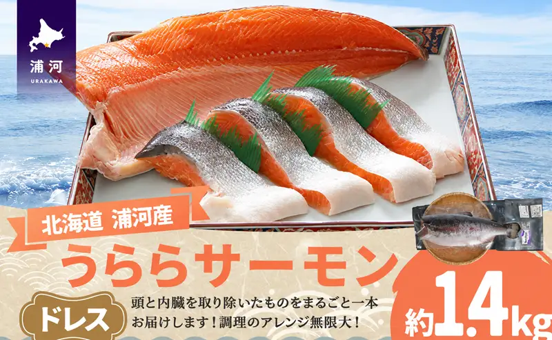 北海道浦河町産『うららサーモン』のドレス1本(約1.4kg)[02-1511]