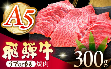 《冷蔵》 【A5等級】 飛騨牛 うでorもも 焼肉 300g 多治見市 / 肉の沖村 A5 牛肉 ギフト 贈り物[THI016]