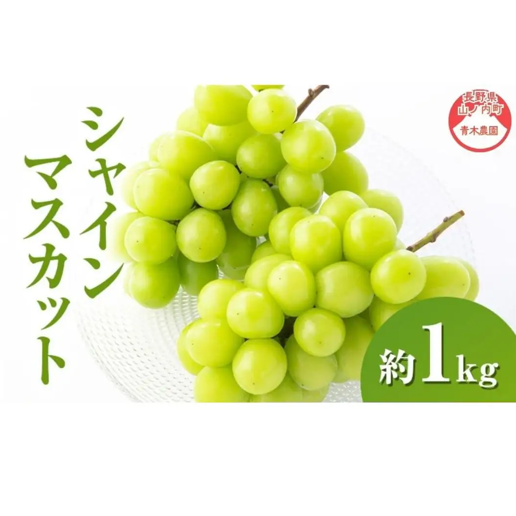 シャインマスカット 1kg 2～3房 長野県産 シャインマスカット